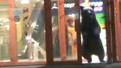 A bear escapes out of the door of a shopping mall