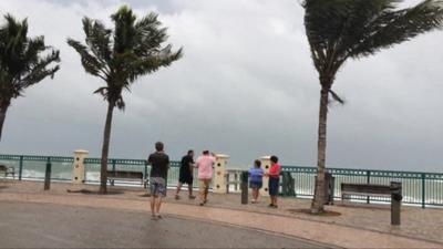 Wind blowing palm trees