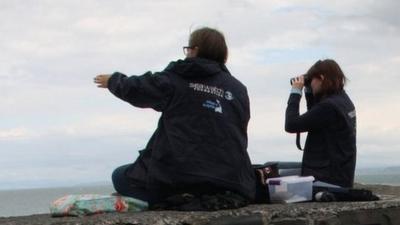 Volunteers conduct a watch from New Quay Pier, Ceredigion