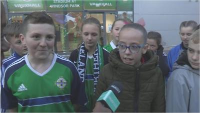 Northern Ireland fans