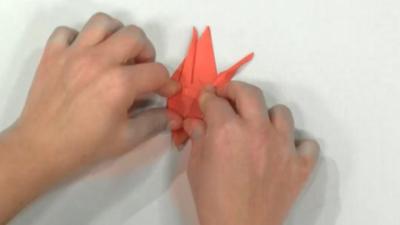 Folding a paper crane