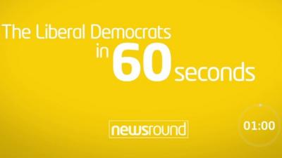 The Liberal Democrats in 60 seconds