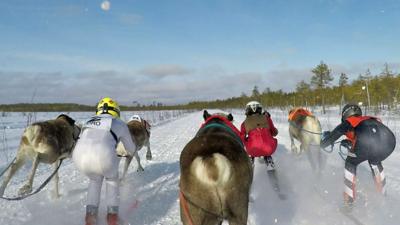 Reindeer racing