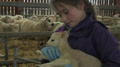 Mali holding a lamb