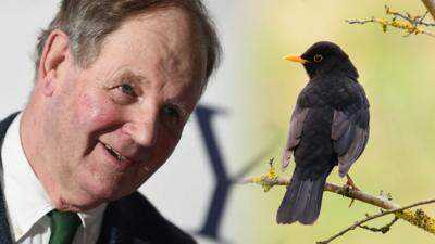 Michael Morpurgo and a blackbird