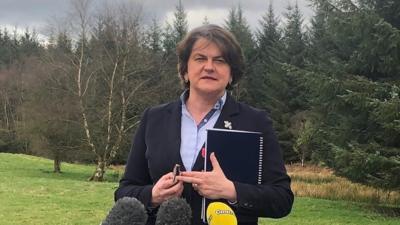 First Minister Arlene Foster