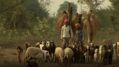 Farmers in Rajasthan