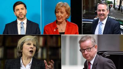 Tory leadership contenders