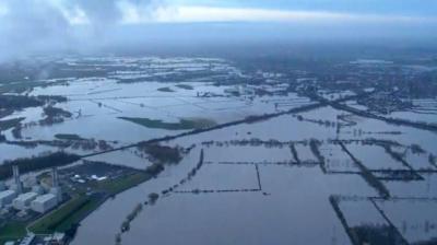 Flooded fields