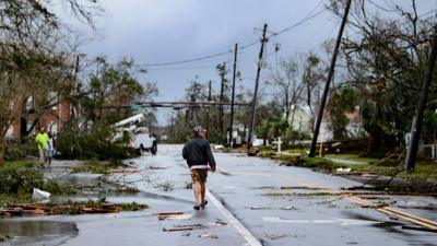 Street lined by fallen trees