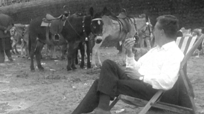 Man sitting on a deckchair watching donkeys on the beach