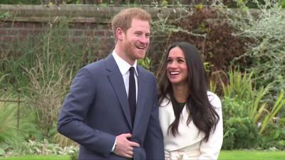 The Sussexes