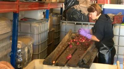 Kaye Howard at the cider mill