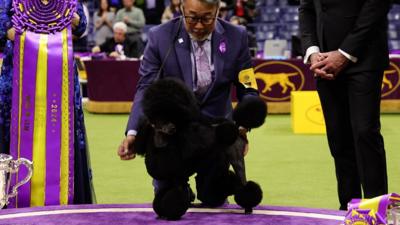 Dog handler Kaz Hosaka and Sage