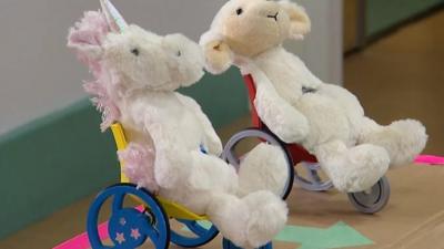 cuddly toy in wheelchair