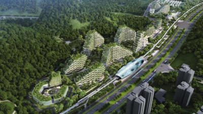 China's plans for a forest city