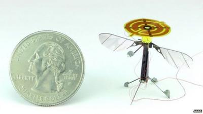 Winged insect (c) AAAS