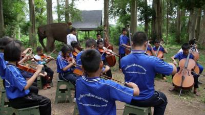 The Thai Blind Orchestra