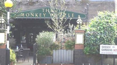 The Monkey Puzzle