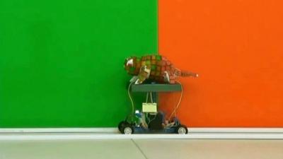 The chameleon robot