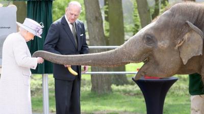 Queen Elizabeth and Donna the elephant