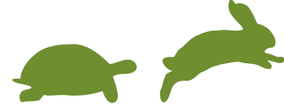 a tortoise and a hare in a race