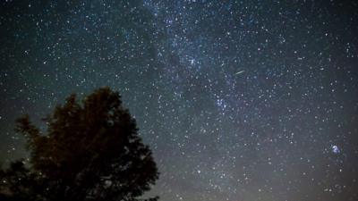 Stars in night sky