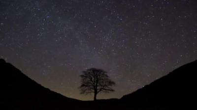 Sycamore Gap