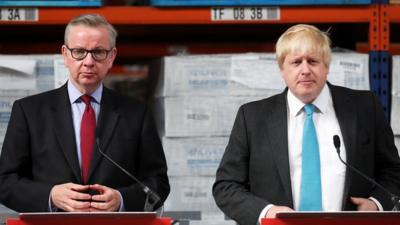 Boris Johnson and Michael Gove