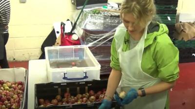 Woman making cider