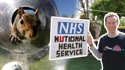 A squirrel and Steve holding a sign