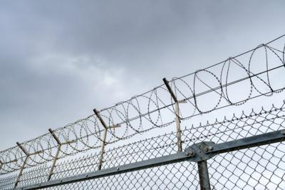 Barbed wire on fence