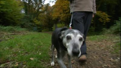 Dennis Proudley walking his dog