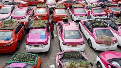 Taxis used as gardens