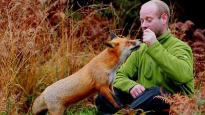 Photographer befriends wild fox