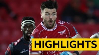 Johnny Williams attacks for Scarlets