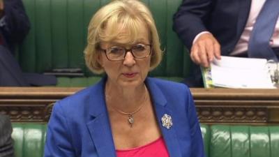 Leader of the House of Commons, Andrea Leadsom