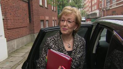 It would be 'fantastic' if the German Chancellor reopened the withdrawal deal, says Andrea Leadsom.