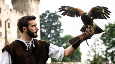 There are about 60 birds of prey at Warwick Castle