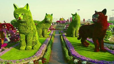 The Miracle Garden, Dubai