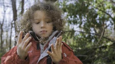 Child looking at ice