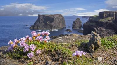 Shetland