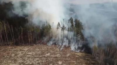 Wildfires inside the Chernobyl exclusion zone in Ukraine have had a significant impact on what has become a unique conservation area.