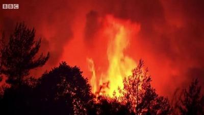 Wildfire burning at night