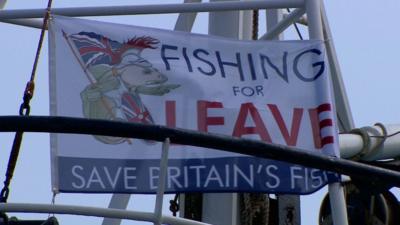 Flag supporting leaving EU campaign