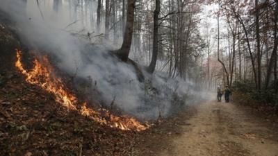 Wildfire burns a hillside in Clayton, Ga.