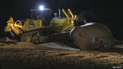 One of the sperm whales that washed up on the beech at Skegness