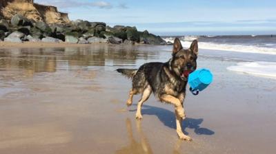 Finn on Happisburgh beach