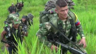 Farc rebels.