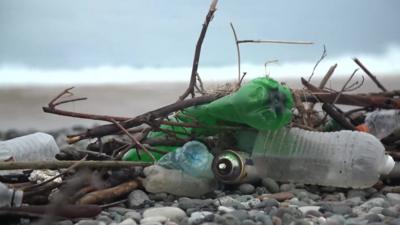 Plastic waste on the shore